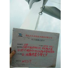 東北某風(fēng)電場